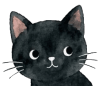 lilpoes